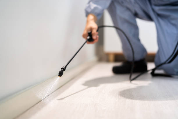 Licensed Termite Control service in Westfield, PA - Nex Pest Control
