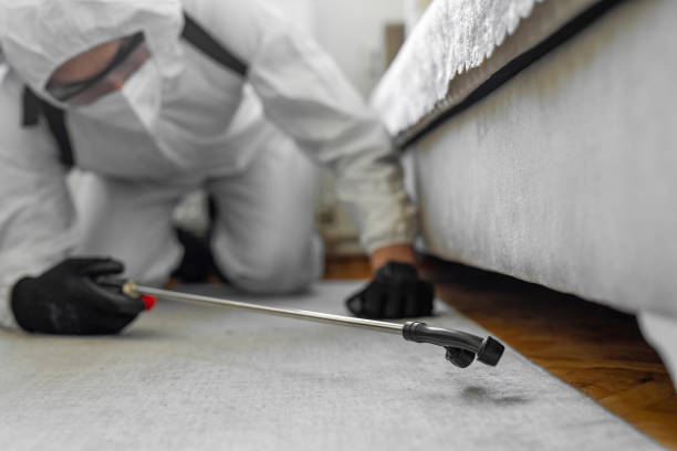 Professional Termite Control technician working in Westfield, PA