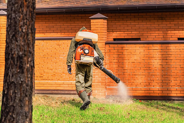Trusted Cockroach Control service in Westfield, PA - Nex Pest Control